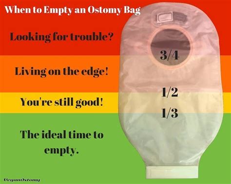 &183; 19 min. . Mr jones ask how often is ostomy bag should be emptied